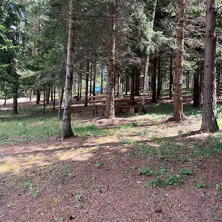 公寓 Cevljanovici Gornji Cevljanovici