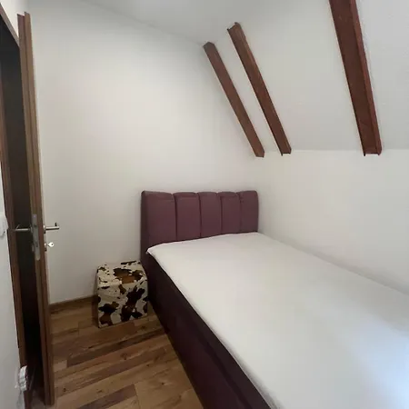 公寓 Cevljanovici *